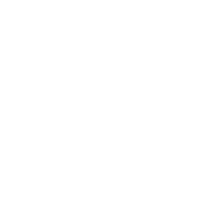 bronksaslt's emblem