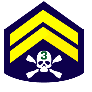 9thSensei's emblem