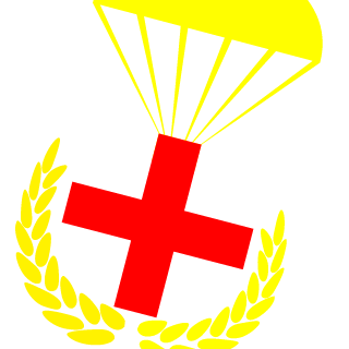 IL-76MD_SCALPEL's emblem
