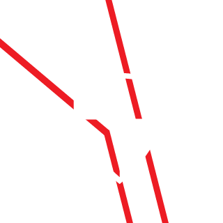 LZPk8's emblem