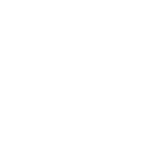 SchaefferV's emblem