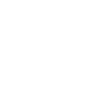 0x9C5's emblem