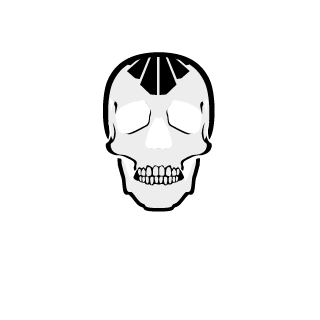 NoMistNoTwist's emblem