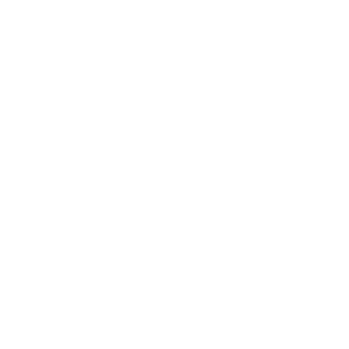 PE1999's emblem