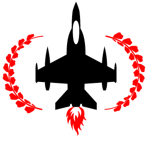 Berkz8no's emblem