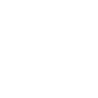 Xaveco398's emblem