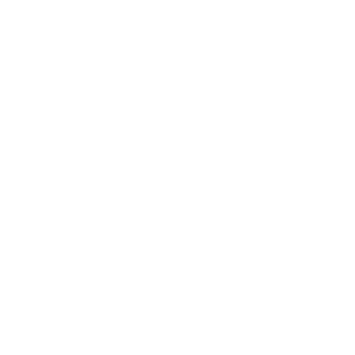 SERIOUS_V1's emblem