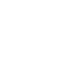 BrianMente's emblem
