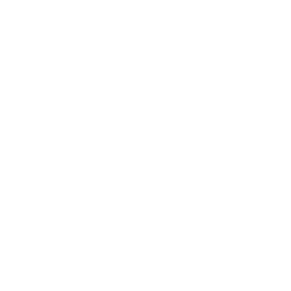 LOGVIN3000's emblem