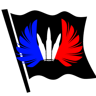 destinyamoi's emblem