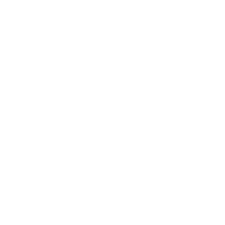 APidori's emblem