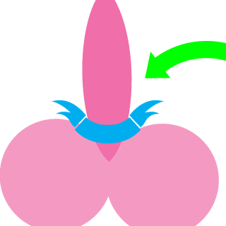 ReMixDragon117's emblem