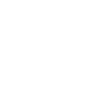 Dasty81's emblem