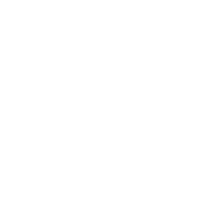 Godgoose_2Y's emblem