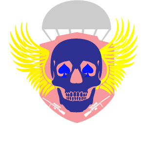 ToxanyshDeelsGT's emblem