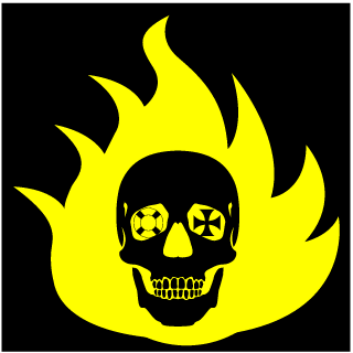 Serasa20tecobrar's emblem