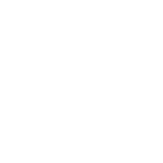 aarrow_0101's emblem