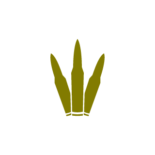 Kenje18's emblem