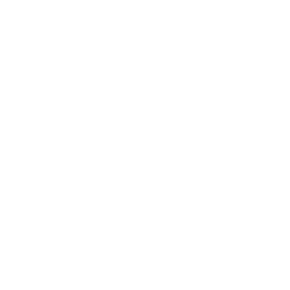 1987mast's emblem