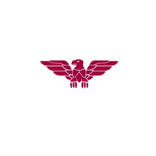 NiT3_Ace's emblem