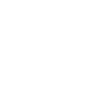 MAJ_Payne99's emblem