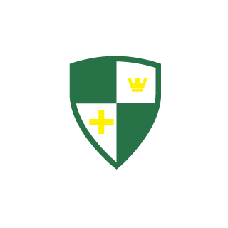 BRUNO_RDSN's emblem