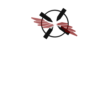 LostMyFork's emblem
