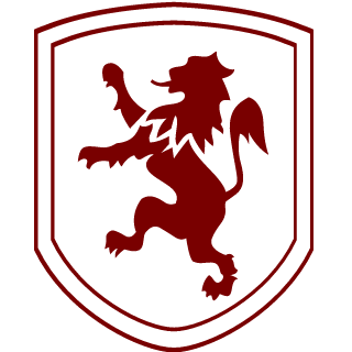 stormzzz345's emblem