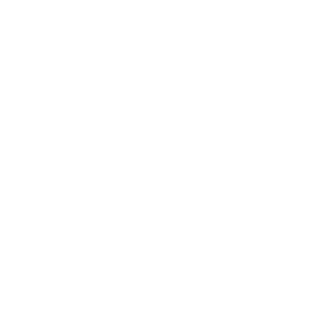 DDRFanatik's emblem