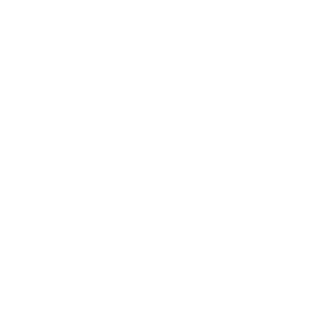 xsm909's emblem