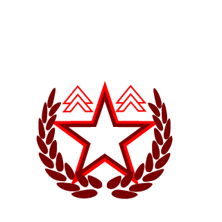 Layosh89's emblem