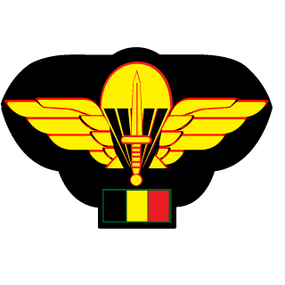 iknietbelgzijn's emblem