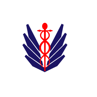 zzl210106's emblem