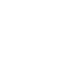 Turkish_Nuclear's emblem