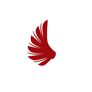 MrSchnaggl's emblem