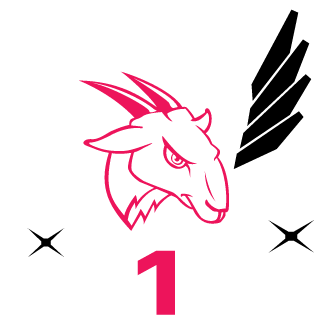 chirybanegas's emblem