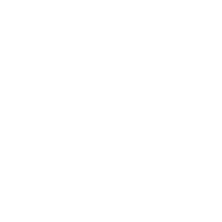 Skeptizz_TTV's emblem