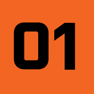 InsecureDolphin2's emblem