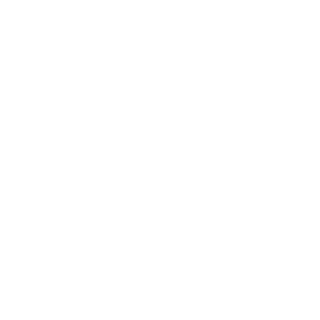 ray-unsung's emblem