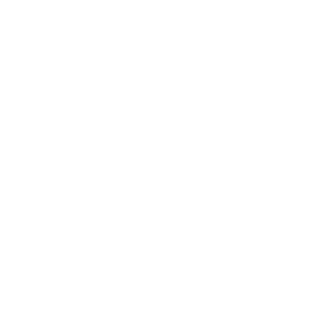 NoobCat02's emblem