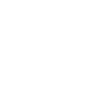 lStynezyl's emblem
