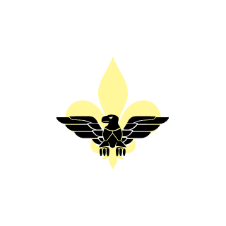 devicez1n's emblem
