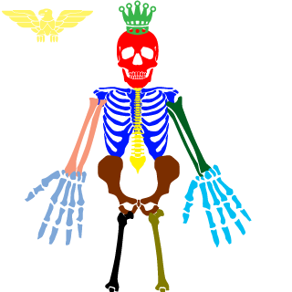 xNetoBatistax's emblem