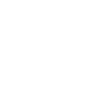 birapm's emblem