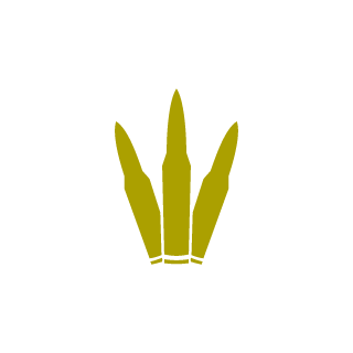 adnan_mazumder's emblem
