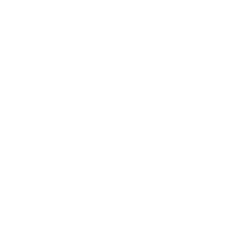 counting202's emblem