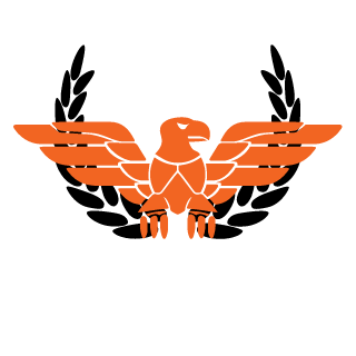 ZousaBr's emblem