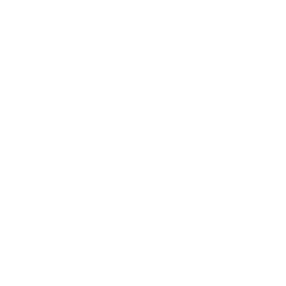 MasterDhalsim's emblem