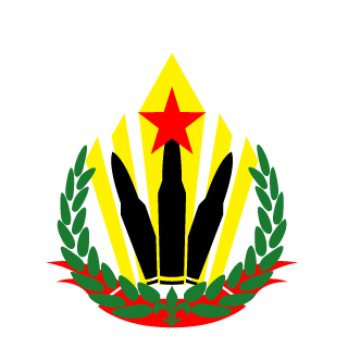 1SAT1's emblem