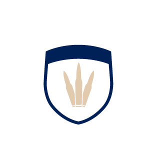 Never3ath's emblem